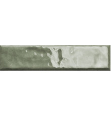 Levels Forest Glossy 6x25