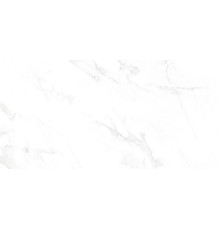 Venus Bianco Polished 60x120
