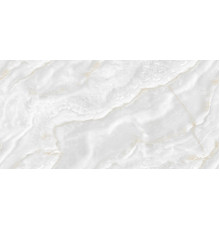 Flora Onyx Polished 60x120
