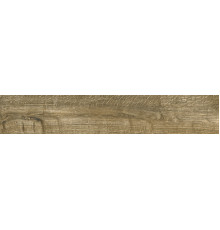 Karelia Cognac Matt Shape 20x120