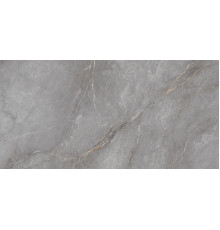 Orobico Grey Polished 60x120