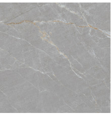 Persian Grey Matt 120x120