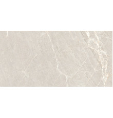 Persian Grey Matt 60x120