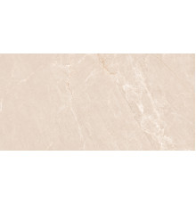 Persian Beige Matt 60x120