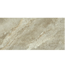 Rome Taupe Polished 60x120