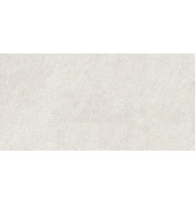 Stonhenge Grey Matt Shape 60x120
