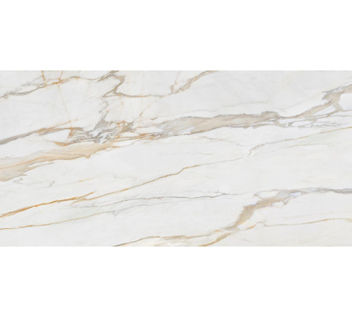 Calacatta Gold Gloss Polished 6mm 160x320