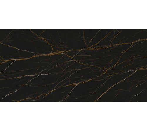 Laurent Gloss Polished 12mm 160x320