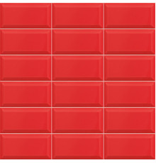 Bissel Rubi 10x20