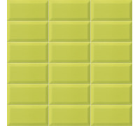 Bissel Y-Green 10x20