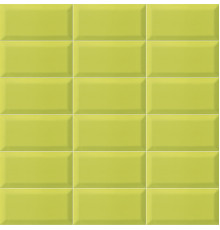 Bissel Y-Green 10x20
