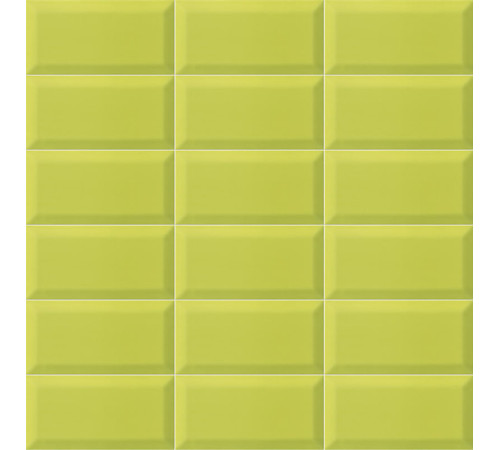 Bissel Y-Green 10x20