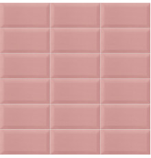 Bissel Pink 10x20