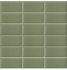 Bissel G-Olive 10x20