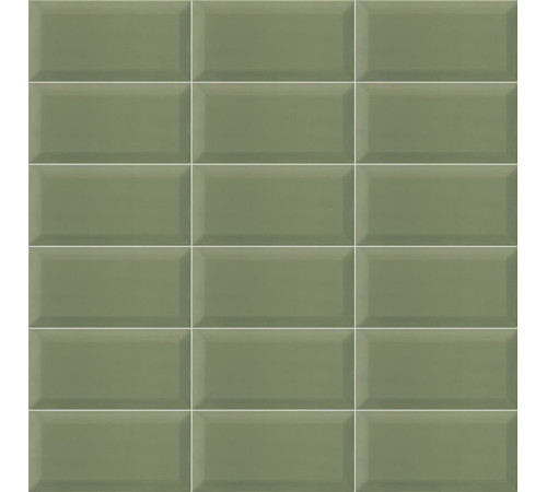 Bissel G-Olive 10x20