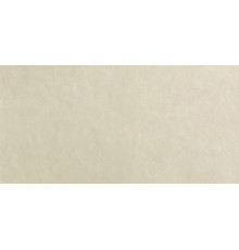Bloom Beige 80x160