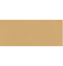 True Color Caramel Matt 50x120