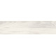 Polo White PRO Керамогранит белый K952690R0001LPET 19,7х79,7 R10 STR