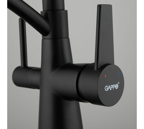 Смеситель для кухни с гибким изливом и подключением фильтра GAPPO G4398-16, черный