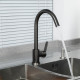 Смеситель для кухни FRUD R42052-11, графит