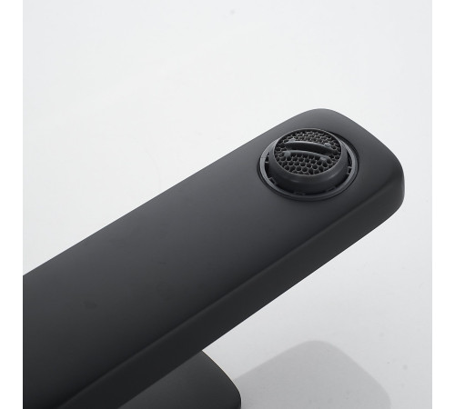 Смеситель для раковины Raffine F0199H, черный