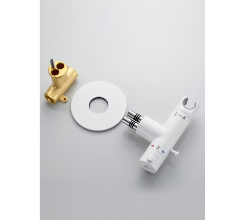 Гигиенический душ с термостатом Rose R915C, белый