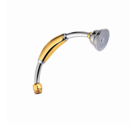 Лейка для душа D-Lin D61020, хром
