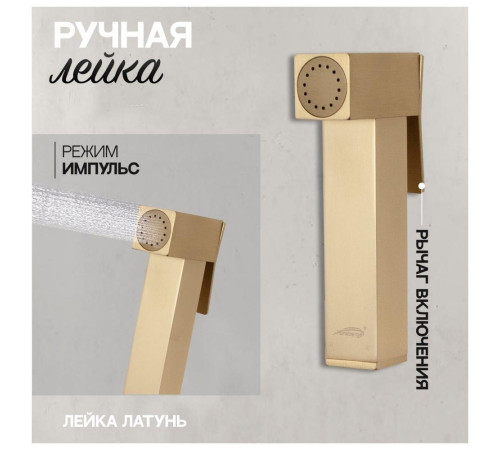 Гигиенический душ со смесителем встраиваемый Hansberge H3077MG, матовое золото