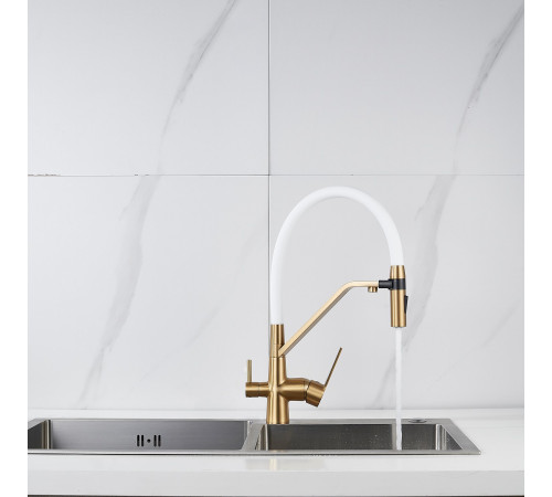 Смеситель для кухни с гибким изливом и подключением фильтра Shevanik S278G, золотой сатин