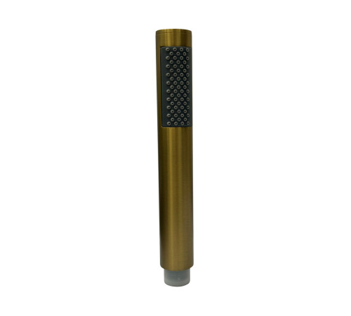 Лейка для гигиенического душа Raiber RPG-20, золото