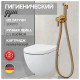 Гигиенический душ со смесителем встраиваемый Hansberge H3099GO, золото