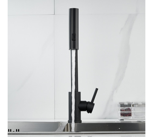 Смеситель для кухни с мультифункциональным изливом Raffine F203H, черный