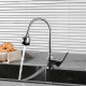 Смеситель для кухни с гибким изливом и режимом душ FRUD R42055-2, хром