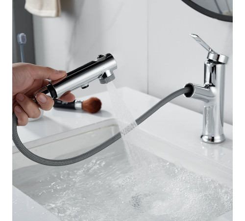 Смеситель для раковины многофункциональный Raffine F281, хром