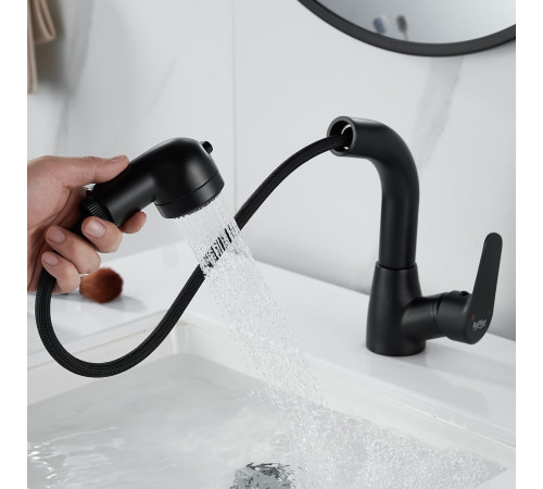 Смеситель для раковины многофункциональный Raffine F291H, черный