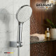 Лейка для душа BRAVAT D2144CP-SW, хром