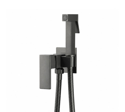 Гигиенический душ со смесителем FRAP F7506-9, оружейная сталь