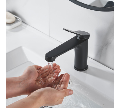 Смеситель для раковины Shevanik S6201H, черный