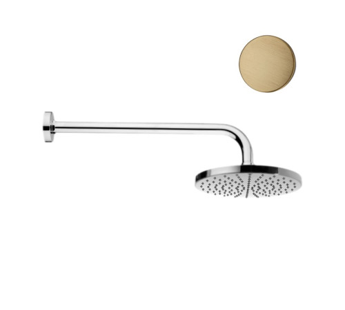 Верхний душ Webert AC0013065METAL, бронза