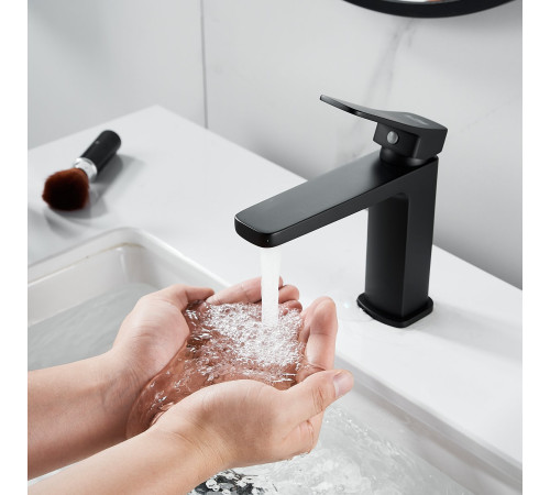 Смеситель для раковины Raffine F0199H, черный