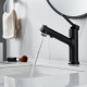 Смеситель для раковины многофункциональный Raffine F281H, черный