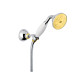 Душевой гарнитур Webert Shower Set AC0704017, хром/золото