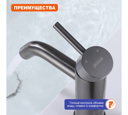 Смеситель для раковины Prohanss P31.10.09, графит