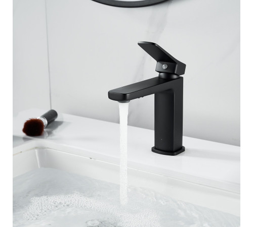 Смеситель для раковины Raffine F0199H, черный