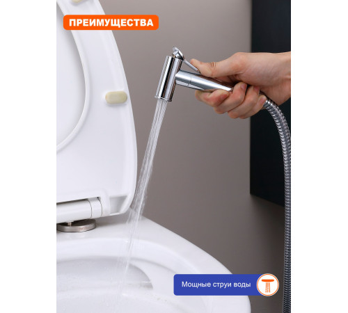Смеситель для раковины с гигиеническим душем Prohanss P64.12, хром