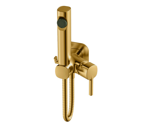Гигиенический душ со смесителем Haiba HB5518-5, брашированное золото