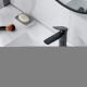 Смеситель для раковины Shevanik S4201H, черный