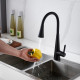 Смеситель для кухни с гибким изливом и режимом "душ" Rose R213H, черный