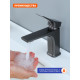 Смеситель для раковины Prohanss P62.10.09, графит