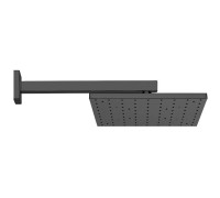 Верхний душ Webert Comfort AC0392560METAL, черный